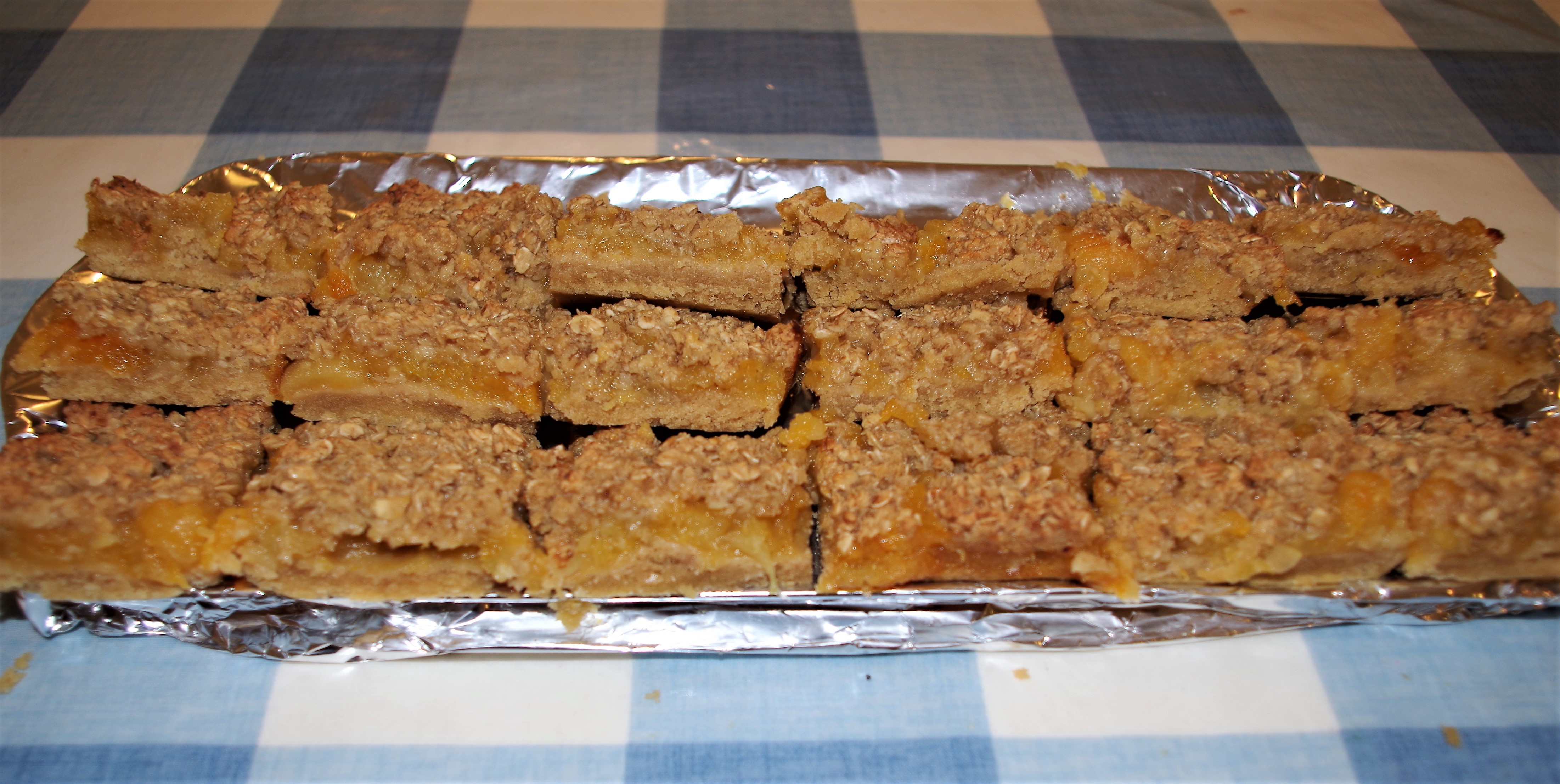 IMGP3898 Sat 10th - Apple and Apricot Treacled tart Squares for CITP Meeting - 7+