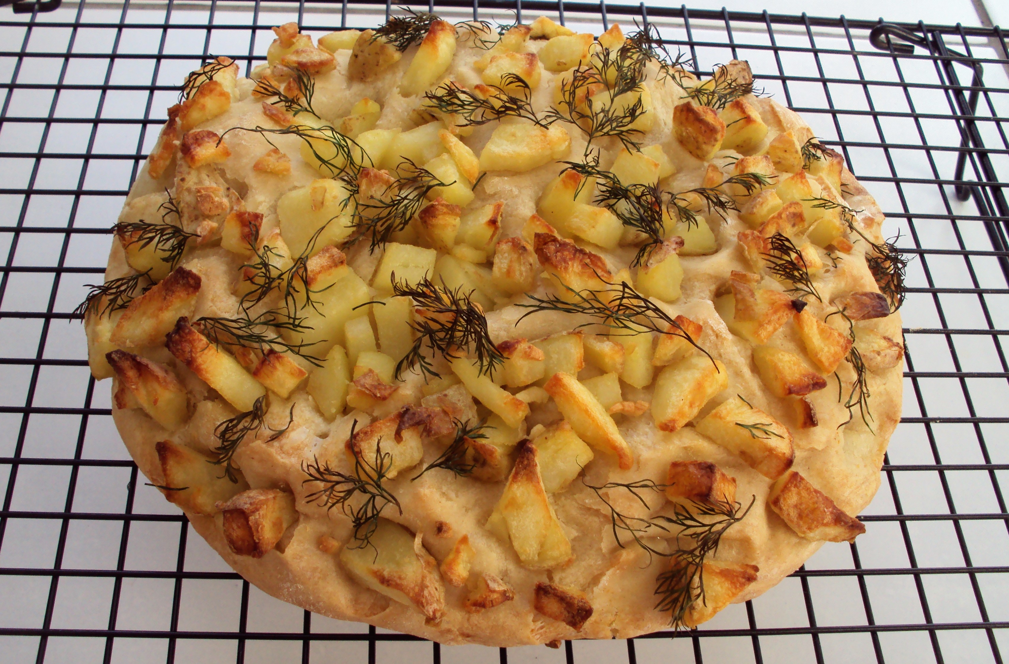 DSC01663 Fri 19th Potato & Dill breac