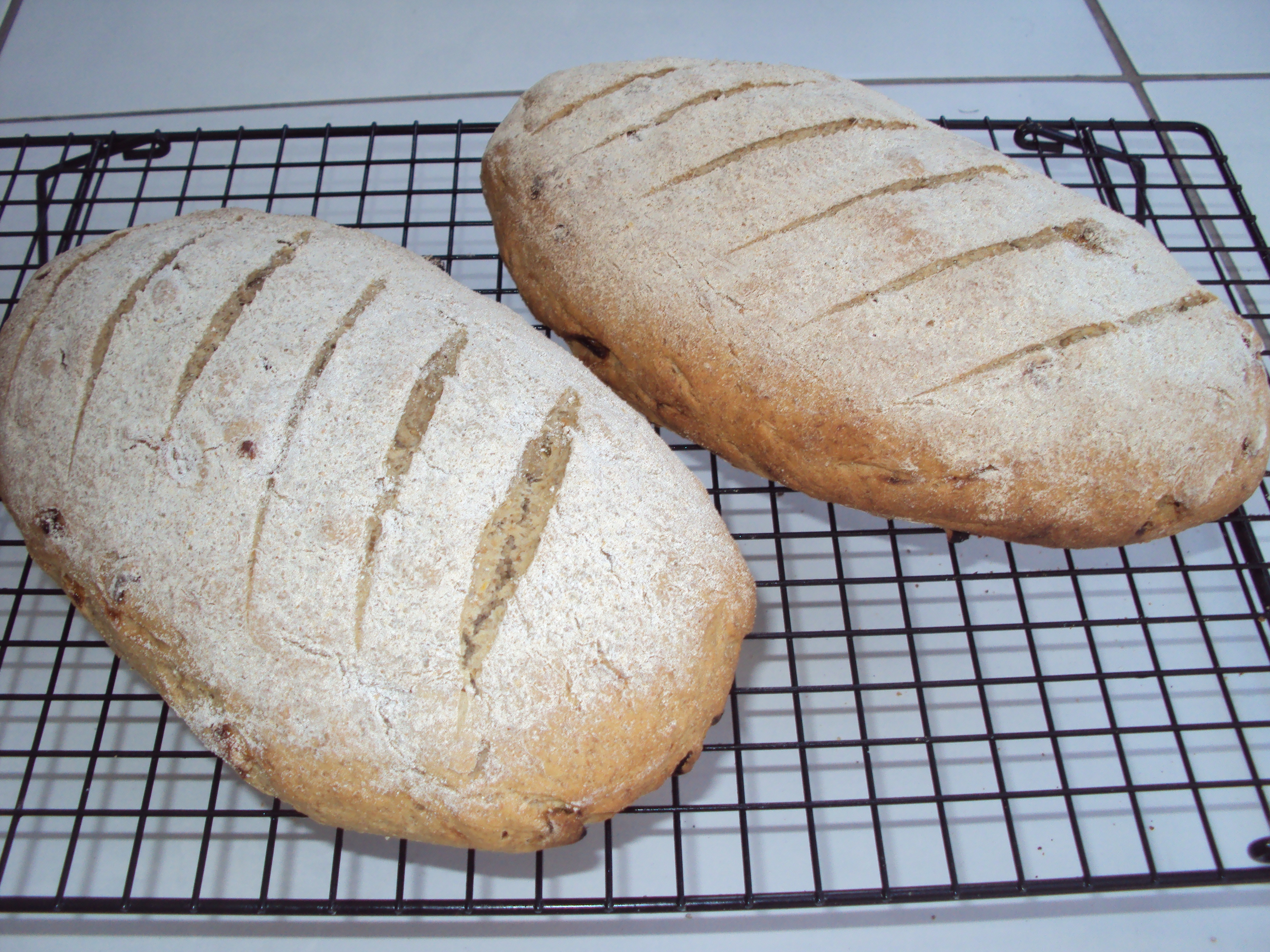 DSC02703 Mon 4th - Apricot Rye bread