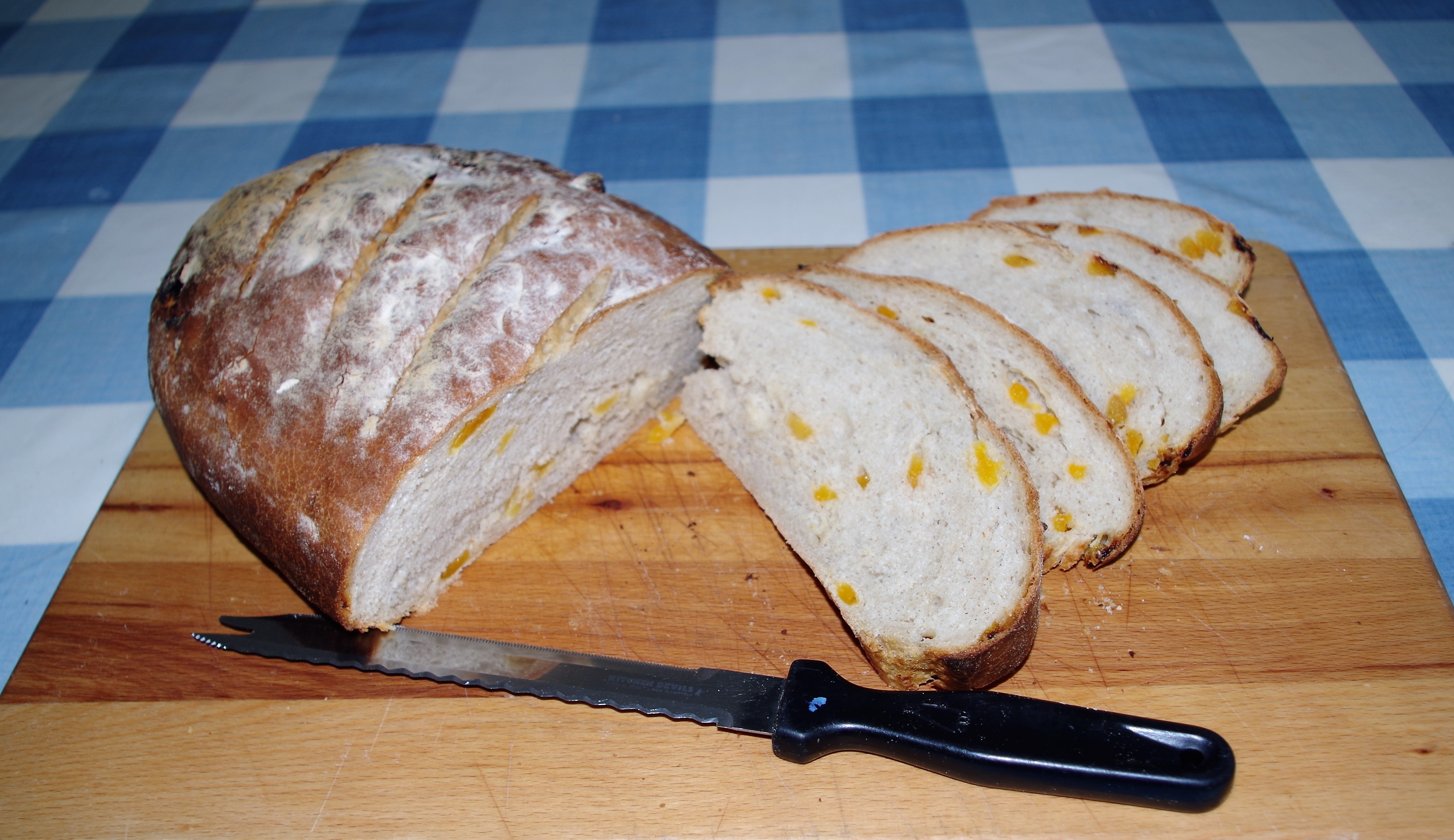 IMGP3965 Fri 23rd - Apricot Rye bread - 8+