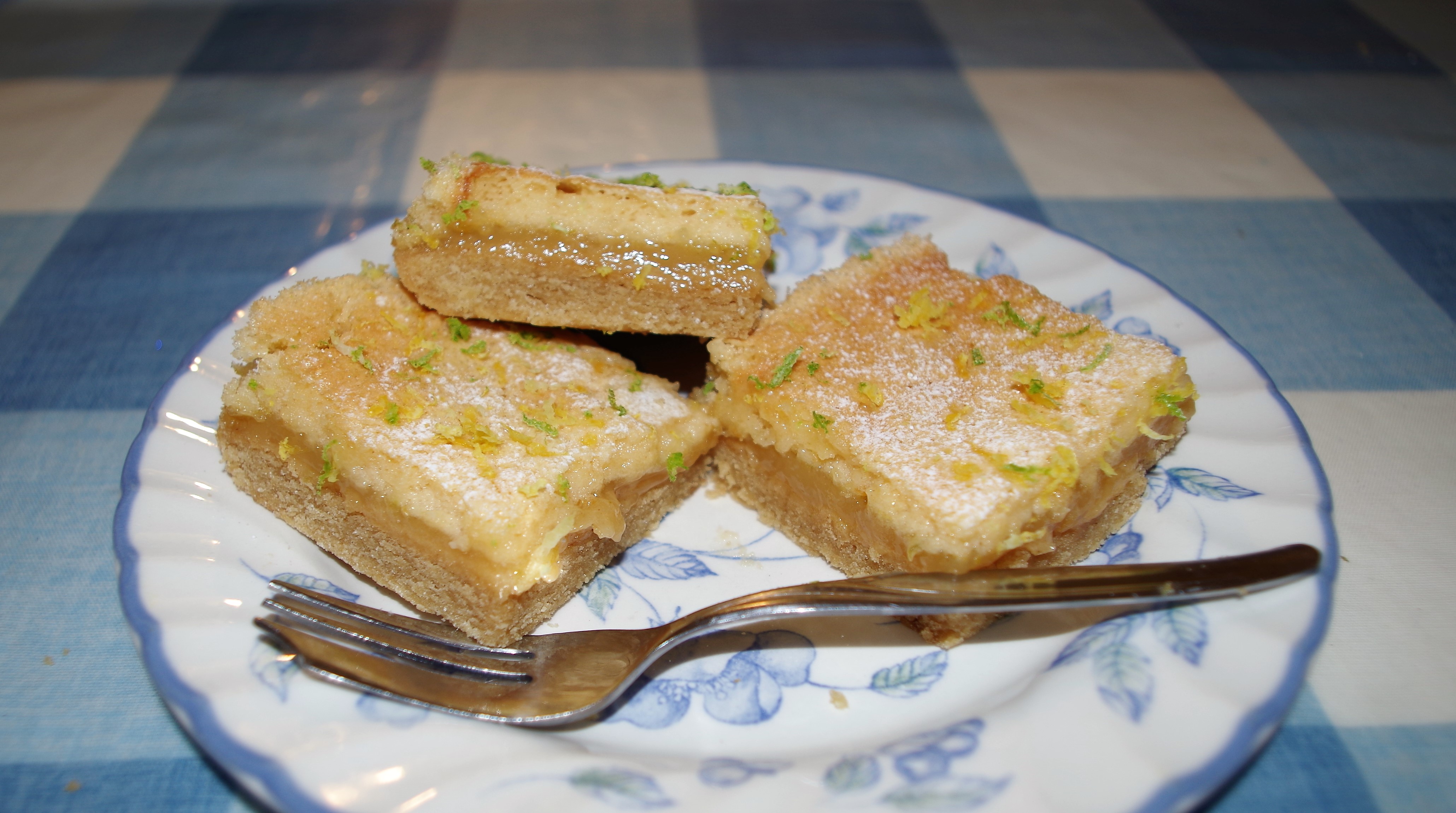 IMGP4033 Fri 30th - Lemon & Lime Squares - 8+