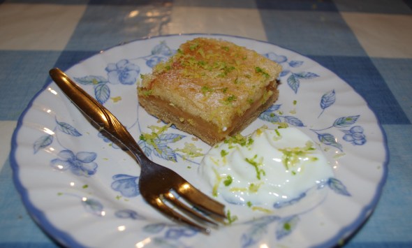 IMGP4036 Fri 30th - Lemon & Lime Squares - 8+